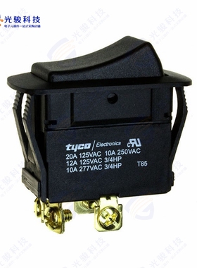 1571102-9 《SWITCH ROCKER DPST 20A 125V》