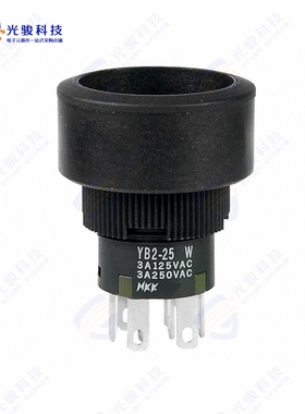 YB225CWCKW01 《SWITCH PUSHBUTTON DPDT 3A 125V》