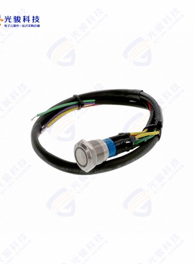 AV1920RG12T5Q04 《SWITCH PUSHBUTTON DPDT 3A 250V》