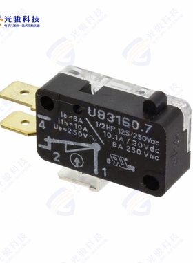 831607C3.0 《SWITCH SNAP ACTION SPDT 6A 250V》