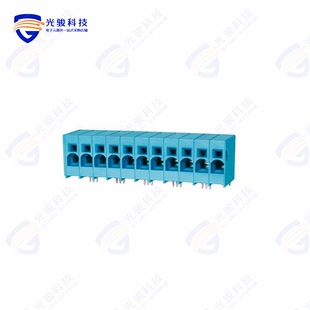 TERMINAL 11BE 1000 SCREWLESS 10.0 BLOCK TBL008