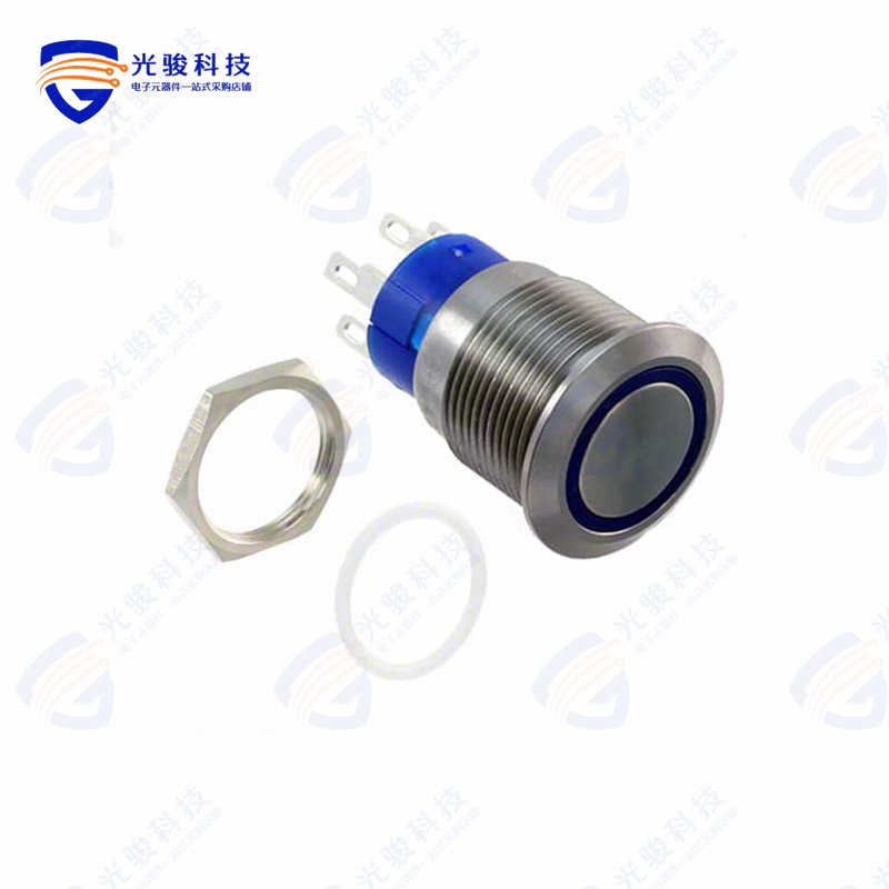 AV1920E724Q04 《SWITCH PUSHBUTTON DPDT 3A 250V》