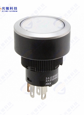 YB215CWCPW01-6B-JS 《SWITCH PUSHBUTTON SPDT 3A 125V》