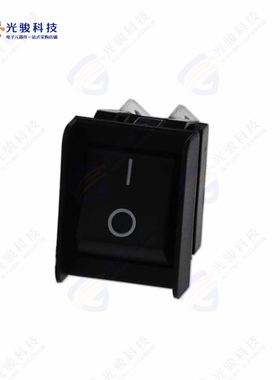 C1350AGAAA 《SWITCH ROCKER DPST》