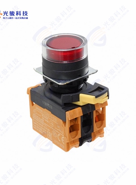 A22NL-BGM-TRA-G202-RD 《SWITCH PUSH DPST-NC 10A 120V》