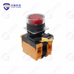 10A G202 PUSH DPST SWITCH TRA 120V A22NL BGM