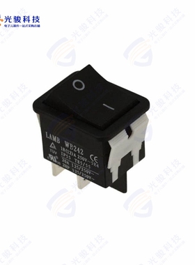 WB242D1121 《SWITCH ROCKER DPST 20A 125V》