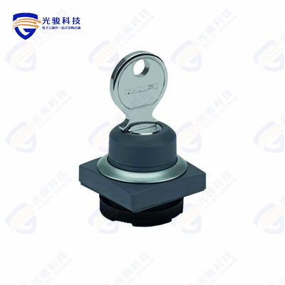 1.30275.5510100 《CONFIG SW BODY KEYLOCK NON-ILLUM》