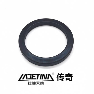 LADETINA拉迪天纳传奇咖啡机冲煮头密封垫密封圈配件