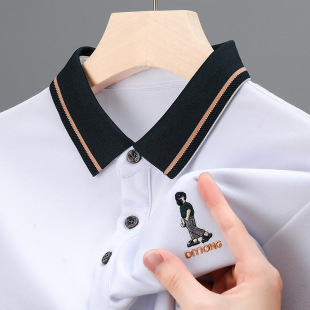 男t恤时尚 春秋新品 Polo衫 男式 百搭拼色亲肤潮流t恤男 万针刺绣长袖