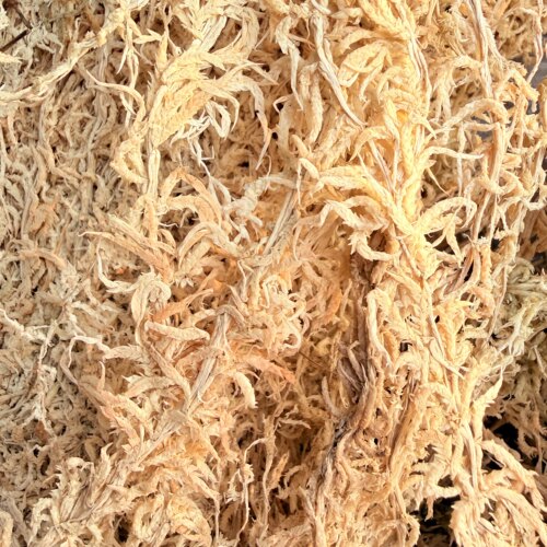 中国记忆盆景日本进口超长水苔藓兰花蝴蝶兰松柏盆面保湿保水专用