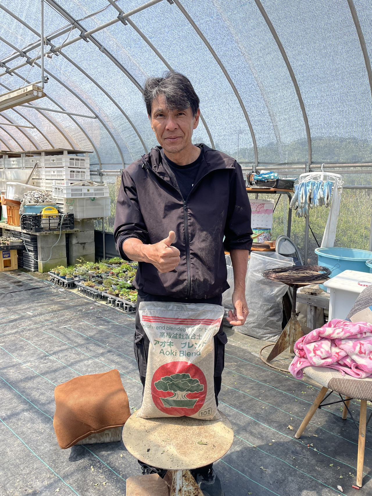 中国记忆盆景青木高端盆栽土四国山砂贝壳粒混合土营养土原装进口