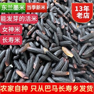 东兰墨米紫糯米黑糙米小黑糯米墨稻米血糯米胚芽米巴马富硒老品种