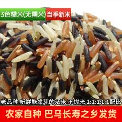 26年新米黑白红三色籼糙米巴马特产五谷杂粮含膳食纤维能发芽500g