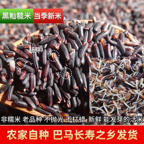 巴马25年农家新米黑籼糙米非糯米
