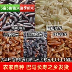 25年新米巴马五宝三色糙米5种糙米组合五谷杂粮米红米黑米500g