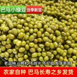 广西特产巴马杂粮小颗粒绿豆青小豆能发豆芽毛绿豆明绿豆随机发货