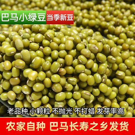 广西特产巴马杂粮小颗粒绿豆青小豆能发豆芽毛绿豆明绿豆随机发货