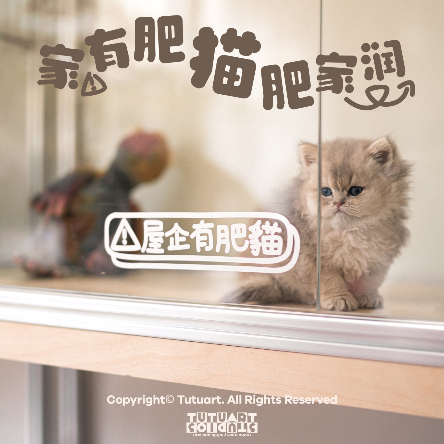 家有肥猫猫肥家润创意汽车装饰贴