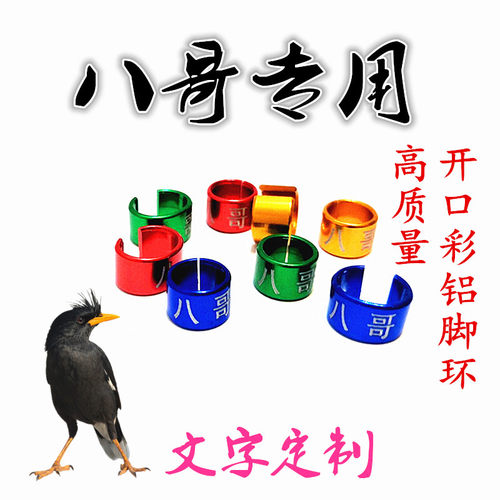 八哥红嘴山鸦鹩哥鹦鹉白颈乌鸦文字定制不锈钢彩色开口鸟脚环定做 - 封面