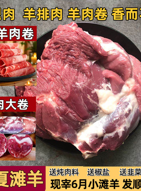 羊肉卷宁夏滩羊片盐池涮羊肉新鲜整条内蒙古滩羊肉火锅羊腿肉原切