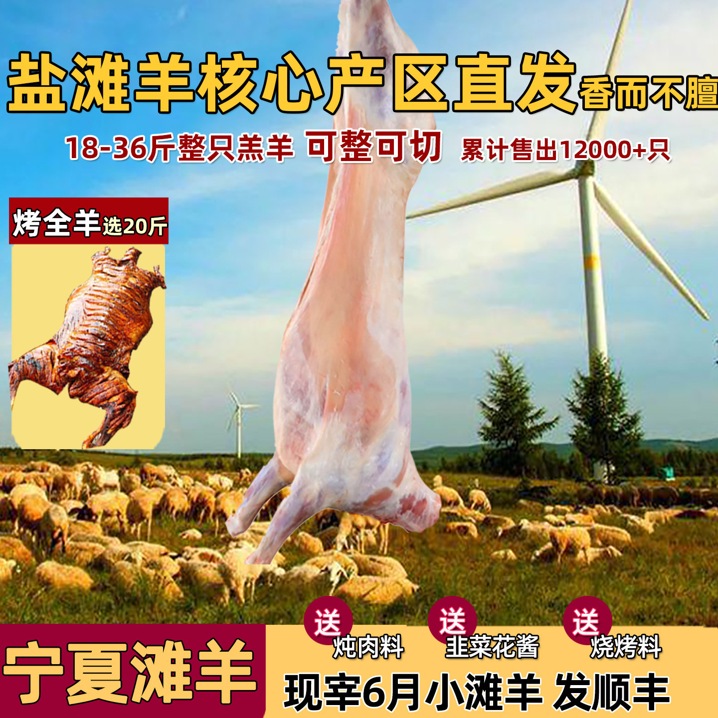 宁夏滩羊整只羊20羊肉新鲜滩羊肉全羊盐池整羊内蒙古新疆30斤礼盒