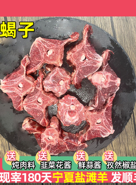 羊蝎子新鲜羊肉现杀羊羯子滩羊脊骨带肉火锅食材羊脖子宁夏滩羊