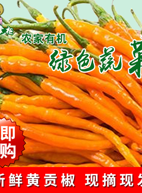 湖南衡东三樟鲜辣椒黄贡椒原产地直供新鲜黄辣子现摘现发3斤包邮
