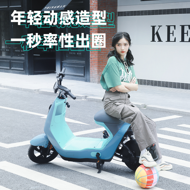 绿源liva6长续航男女通用新国标电动自行车48v16a铅酸代步电瓶车