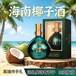 椰澧海南椰子酒礼盒550ml正宗纯酿露酒果酒伴手礼三亚实体店发货