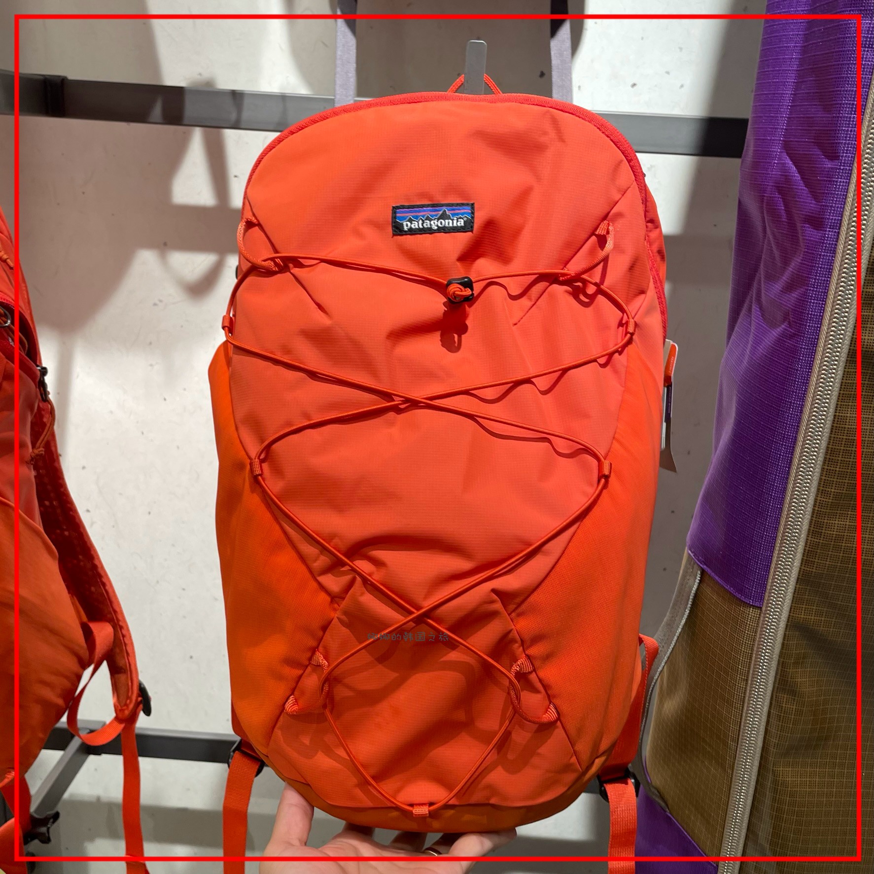 韩国代购Patagonia巴塔哥尼亚