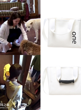 孝利家民宿2少女时代林允儿sjyp正品韩国代购手提单肩斜跨帆布包