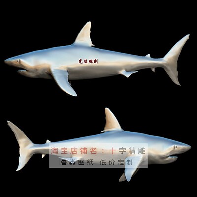 鲨鱼3d模型stl模型动物海洋三维模型max犀牛鱼类3d打印素材