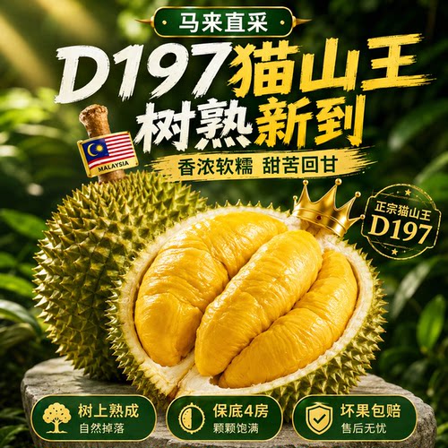 马来西亚进口正品榴莲猫山王榴莲