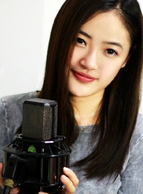 LEWITT/莱维特 LCT240专业电容麦克风录音话筒包精调 正品