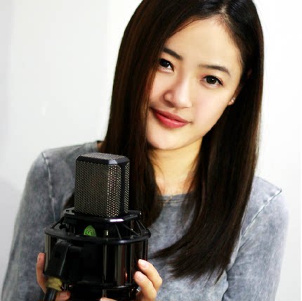 LEWITT/莱维特 LCT240专业电容麦克风录音话筒包精调 正品