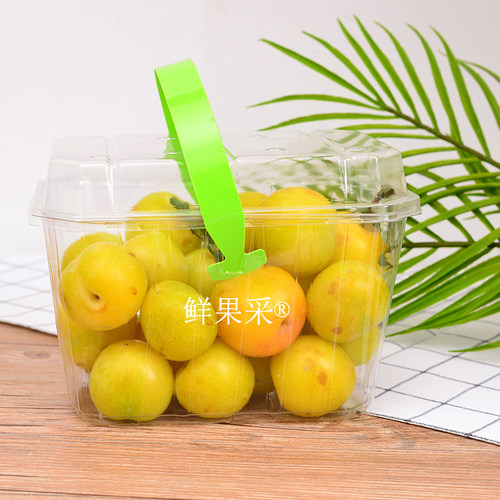 一次性手提塑料102水果包装盒