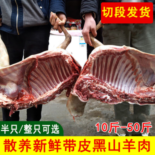 10-50斤新鲜带皮黑山羊肉整只/半只羊酮体白条羊冷冻前后腿羊蝎子
