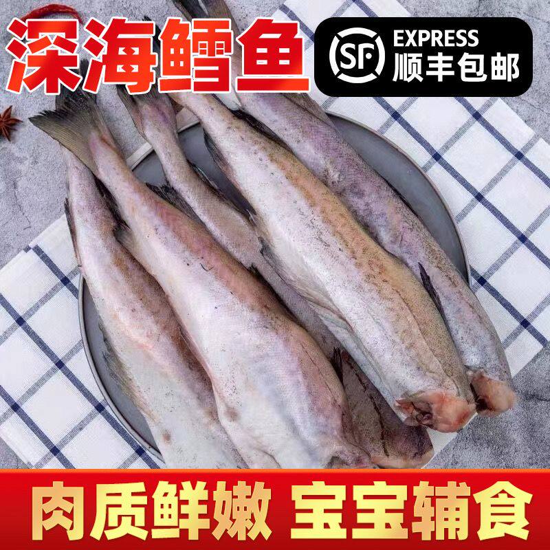 宝宝鳕鱼10斤带冰衣无头明太鱼鲜活海鲜水产鳕鱼深海鱼大棒鱼柴鱼