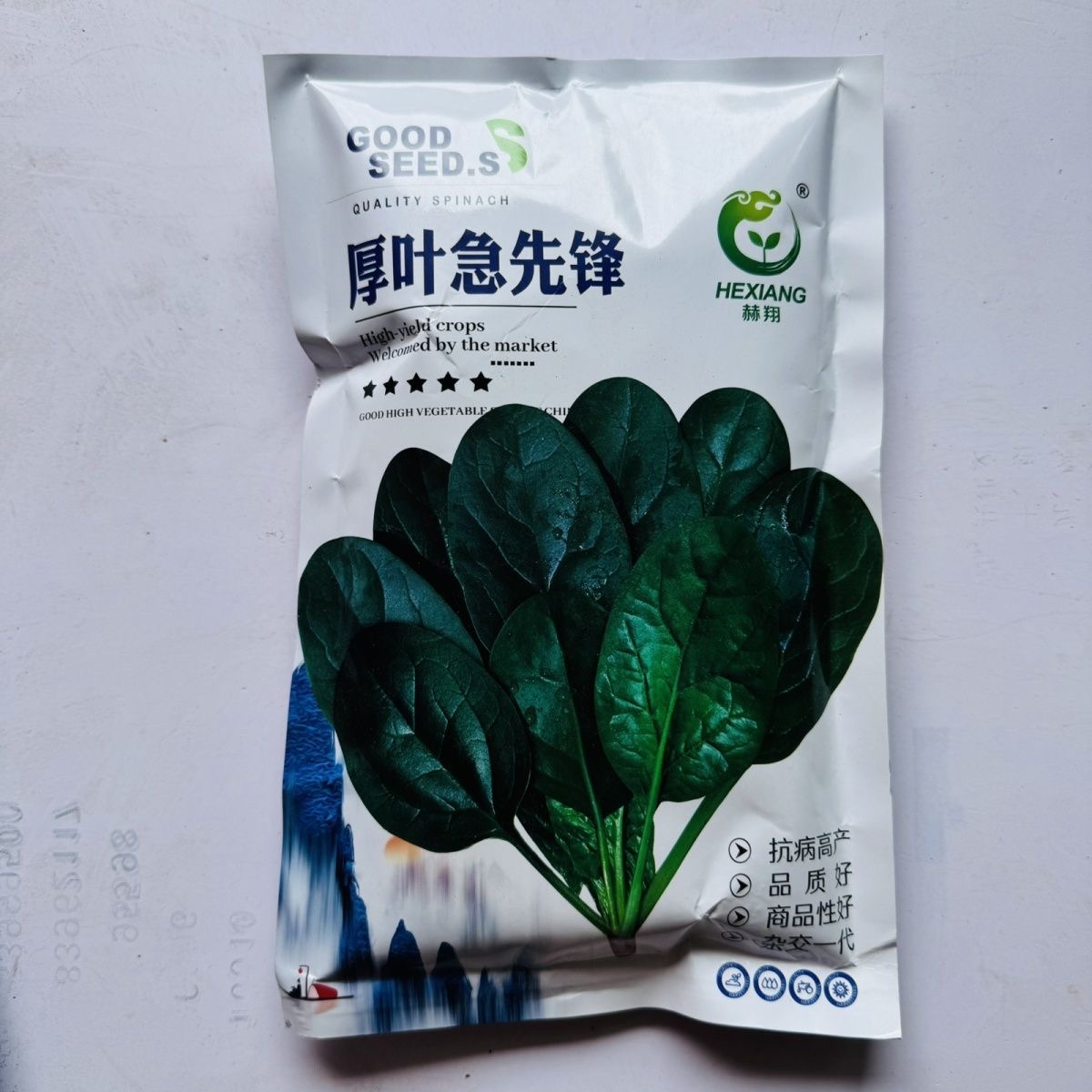 厚叶急先锋杂交菠菜种子红根深绿耐寒性强易捆扎抗病高产商品性好