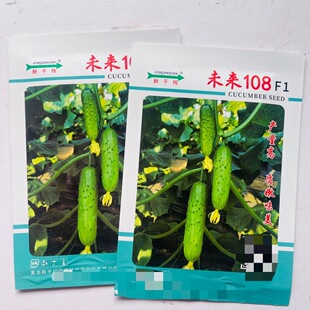 强雌性旱黄瓜种子原装高产耐寒抗热保护地未来108黄瓜种子10克