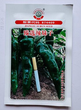 苏润臻选大果辣妹子辣椒种子特辣浓辣型辣椒种籽青红两用小叶片