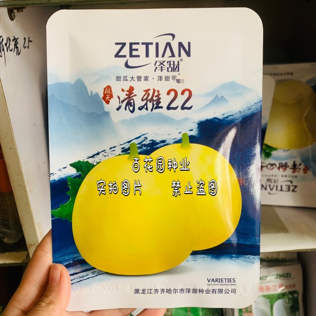 泽甜清雅22甜瓜种子极早熟薄皮杂交香瓜种籽抗病产量高甜瓜种子