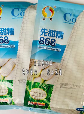 先甜糯868白甜糯玉米种子长势强双胞胎率高甜加糯玉米籽大田种孑