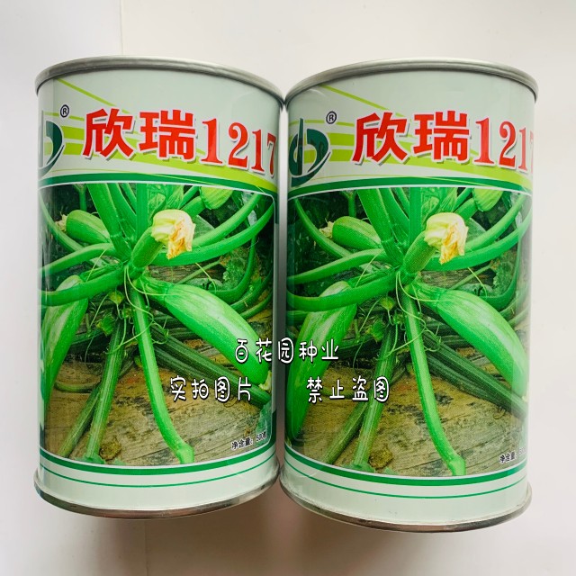 欣瑞1217西葫芦种子 早熟抗病高产耐寒耐热播翠绿占瓜种子蔬菜籽