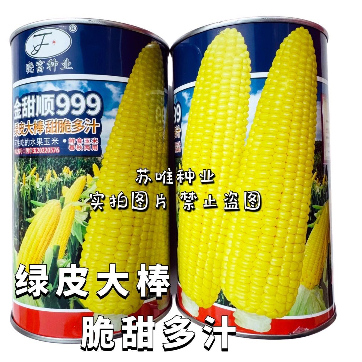 金甜顺999玉米种籽超甜鲜食水果玉米种子四季高产大棒甜苞米种子,农用物资,蔬菜种子/种苗,淘宝优惠券,粉丝福利购,淘宝优惠卷