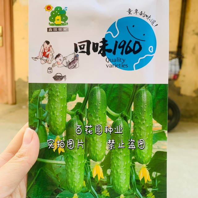 回味1960水果黄瓜种子强雌型节节有瓜清香味美脆嫩黄瓜籽种子短棒