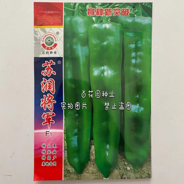 苏润将军大果牛角椒种子微辣皮薄抗病高产大椒种籽辣椒种子基地