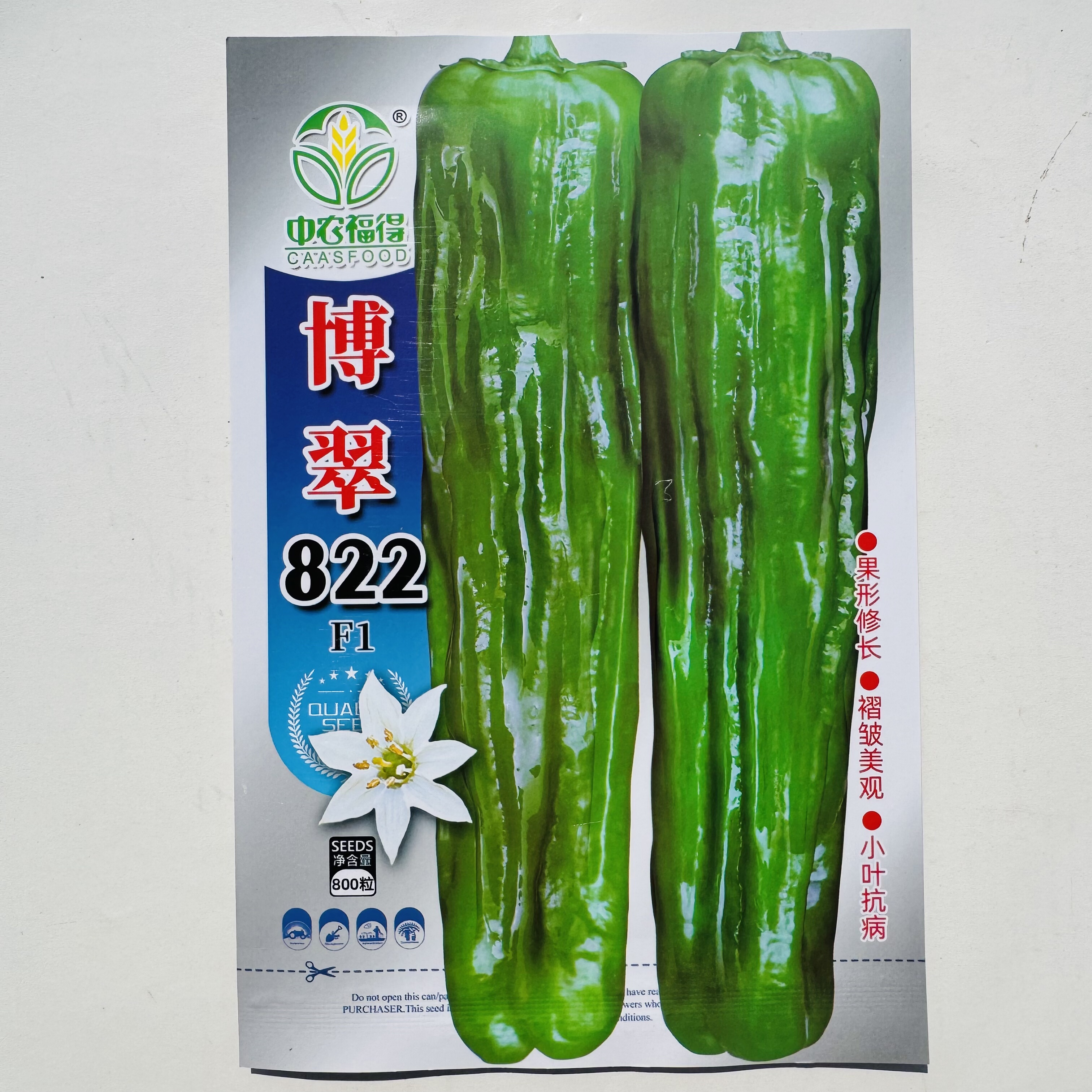 中农博翠822早熟竖条纹薄皮椒辣椒种子高产味辣抗病泡椒大果型椒