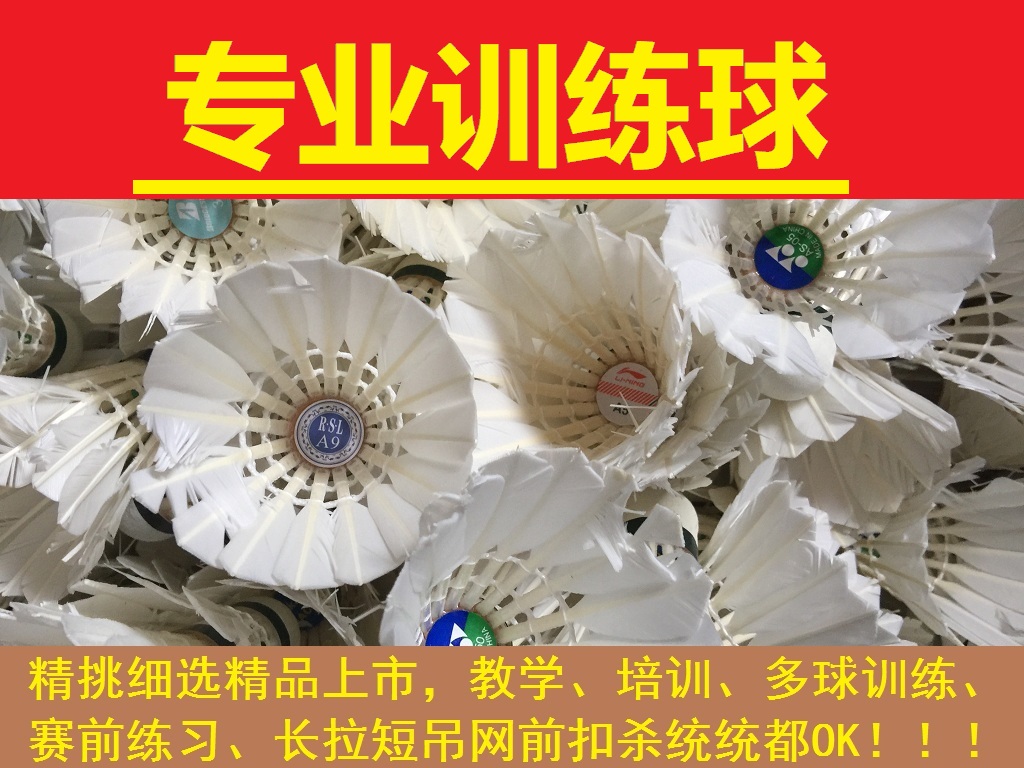 7－8成新二手羽毛球 专业训练球 赛前练习球 教学培训球